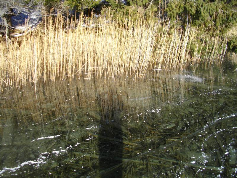 Bild 388.jpg